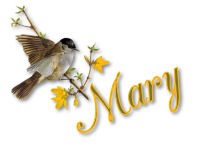 mary_bird