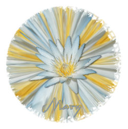 mary_blueflowerburst