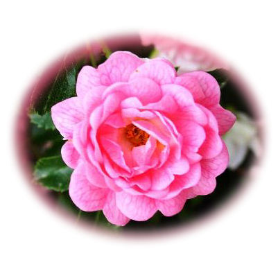 PSP 201 V9 class work