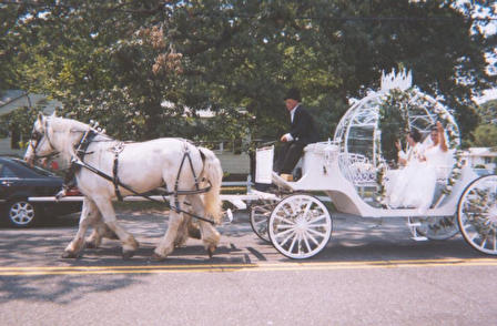 The Wedding Coach